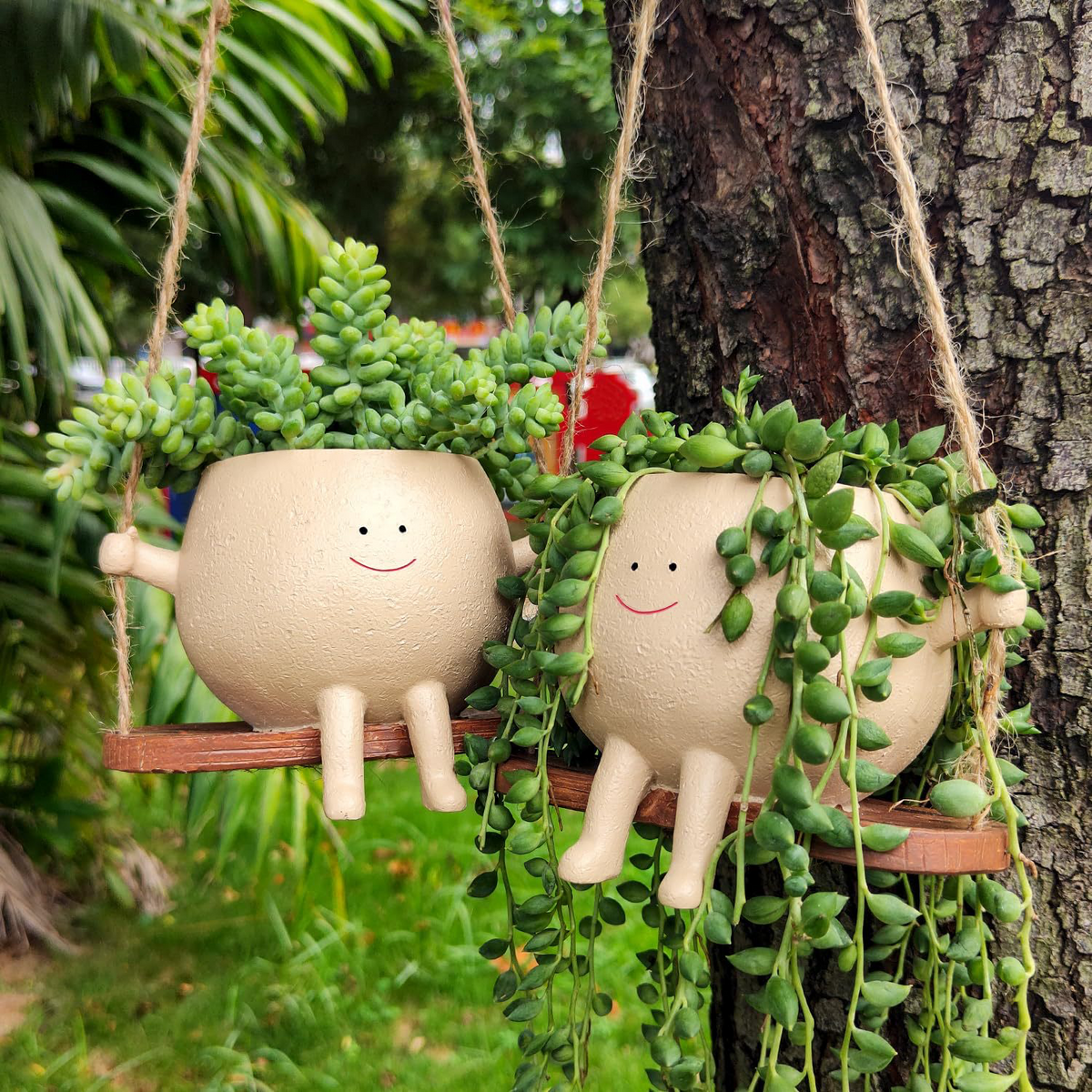 Two Miniko Swing Time planters with succulents and string of pearls hanging on a tree